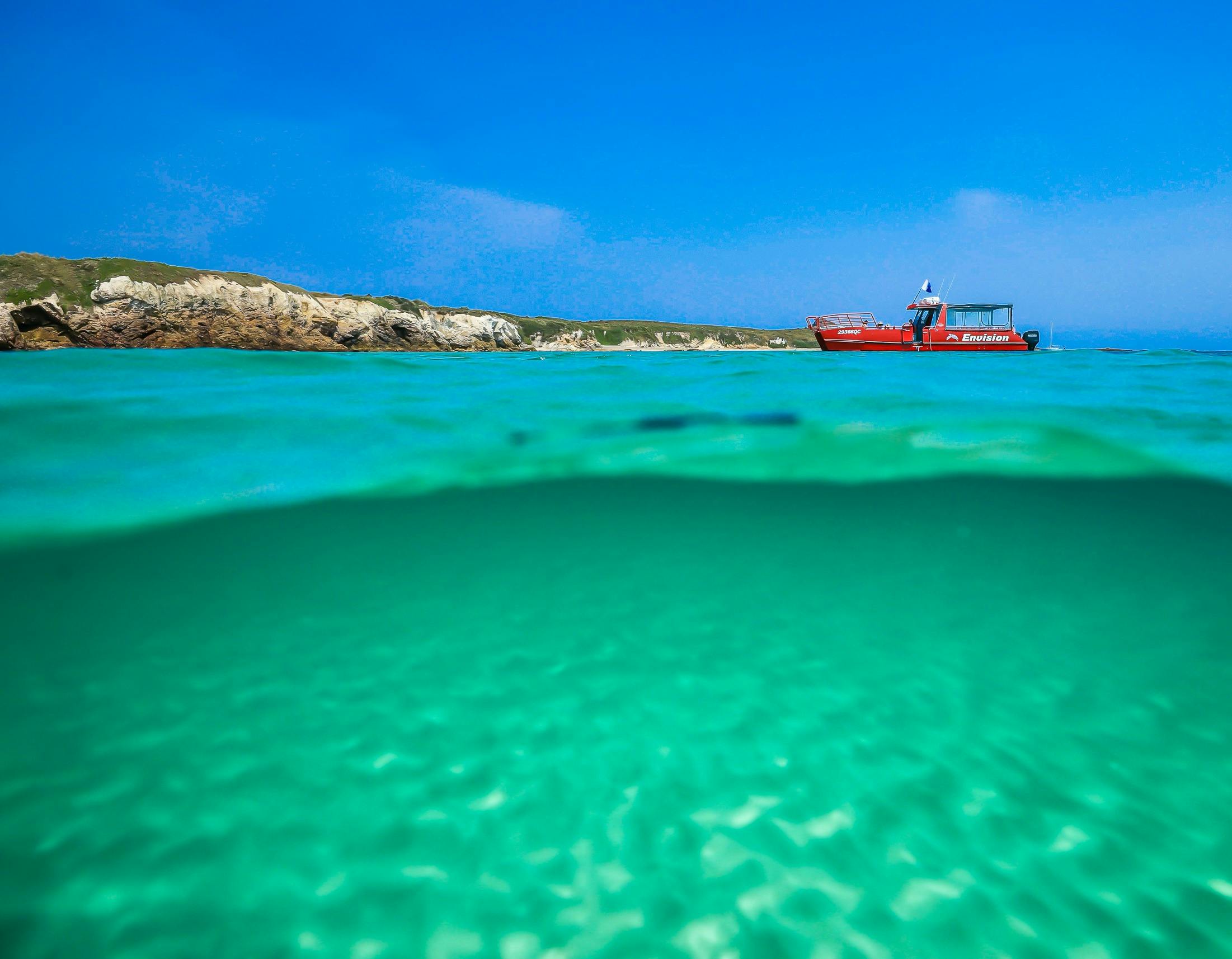 Port Stephens Island Snorkelling 3