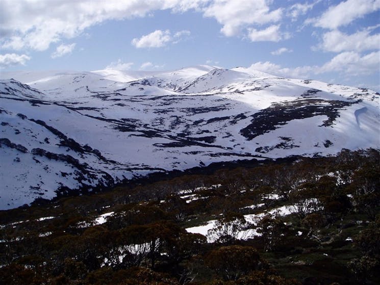 Charlotte Pass and Lookout