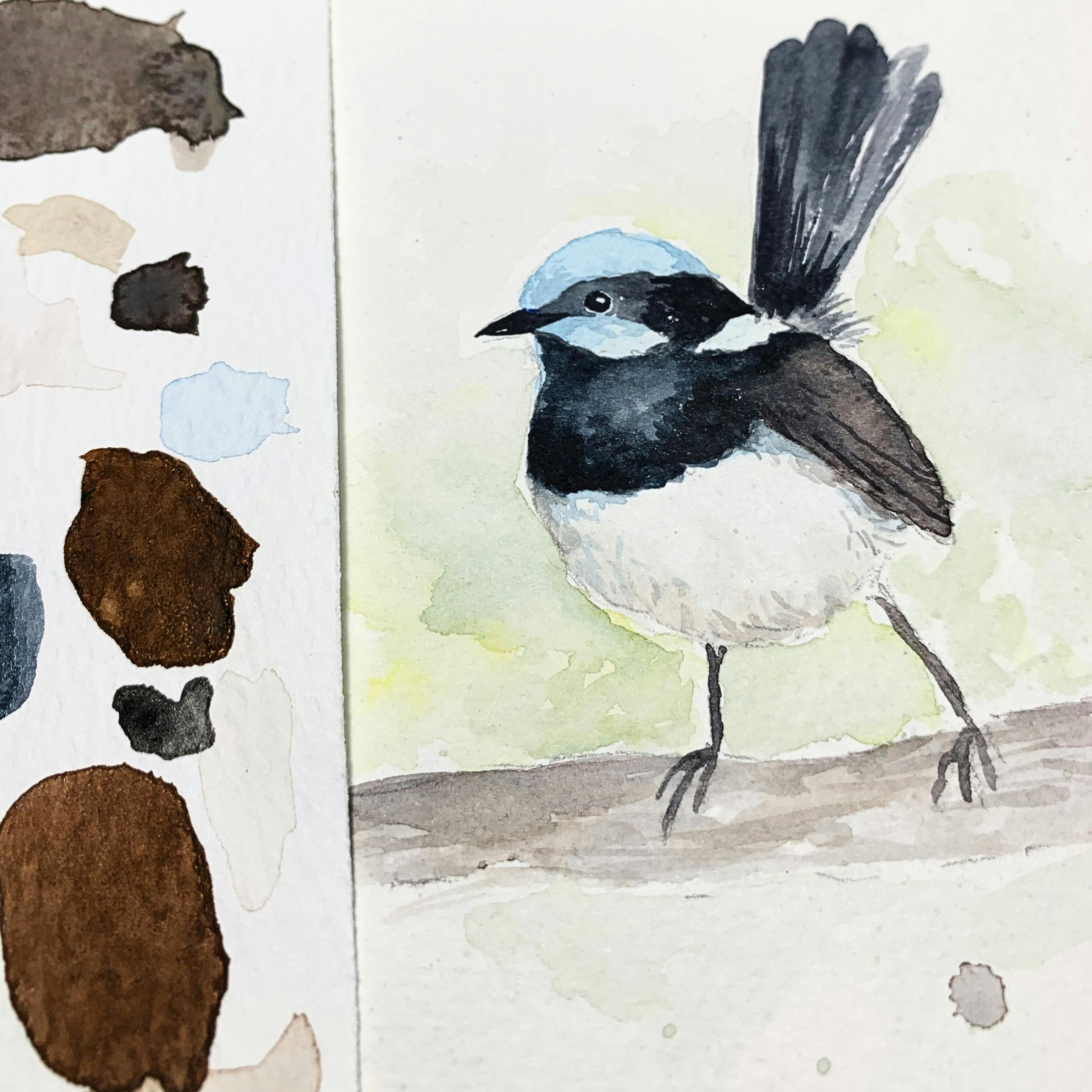 Watercolour Workshop Blue Fairy Wren - Advanced Beginner