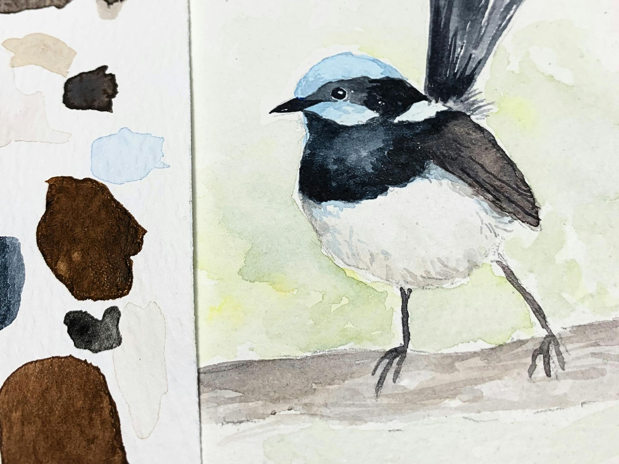 watercolour painting watercolour painting