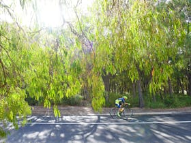 SunSmart FunMan Triathlon