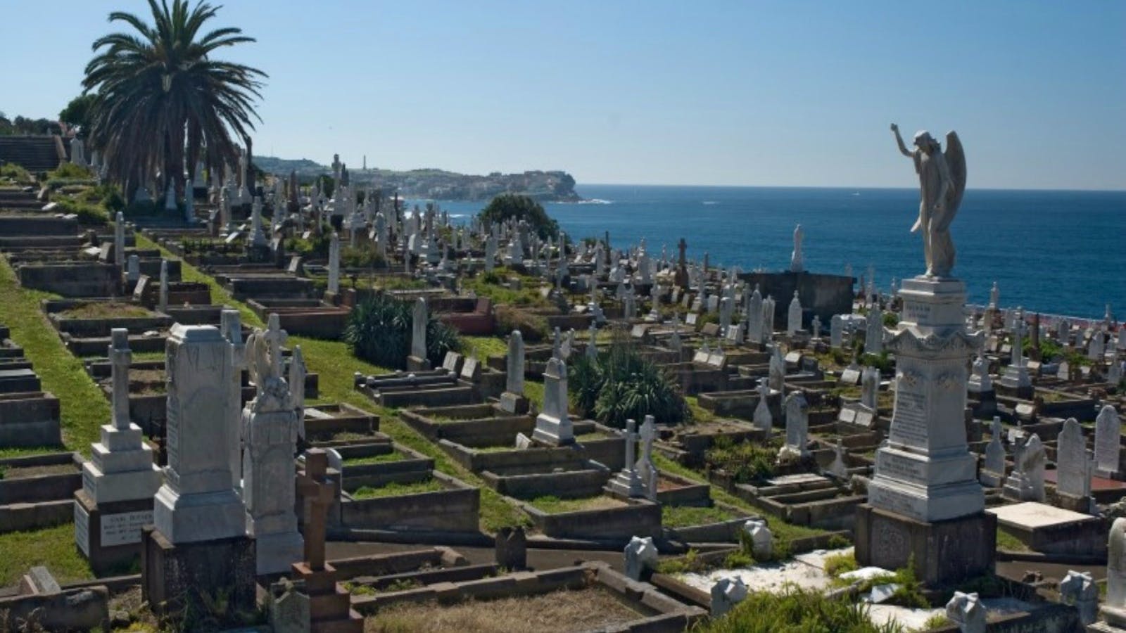 Waverley Cemetery