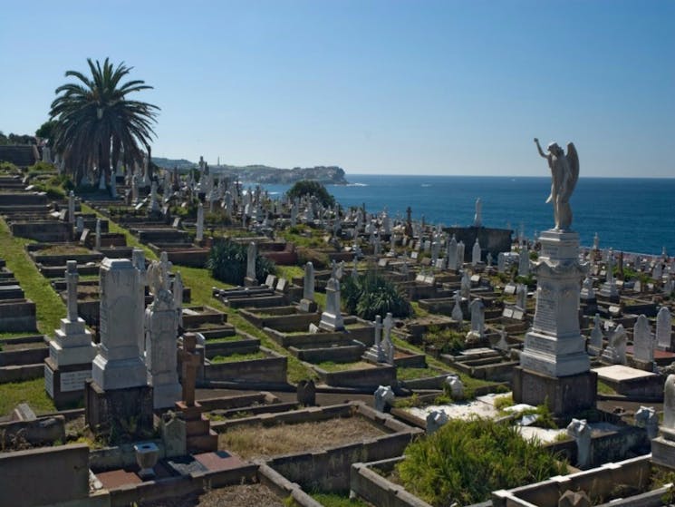 Waverley Cemetery