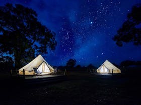 night sky at Bellwether Wines Glamping tents