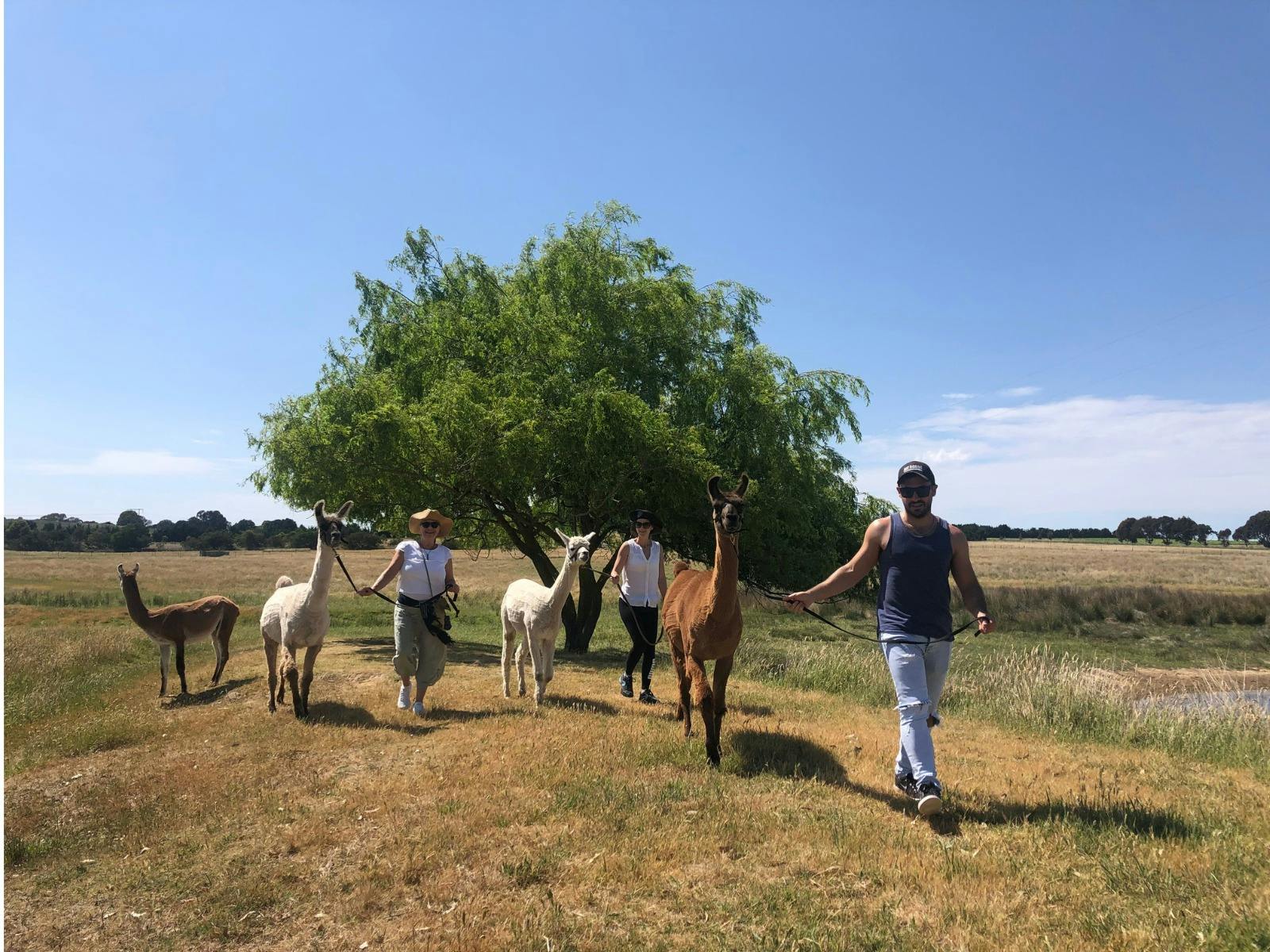 Walking around the dam