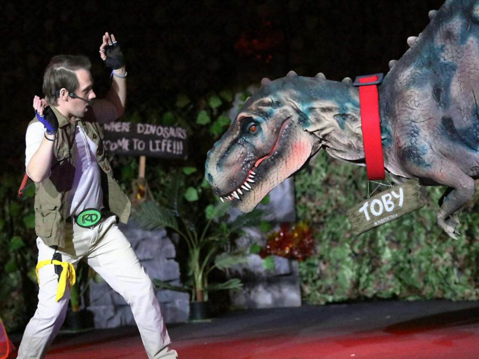 Image for Dinomania Interactive Dinosour Adventure
