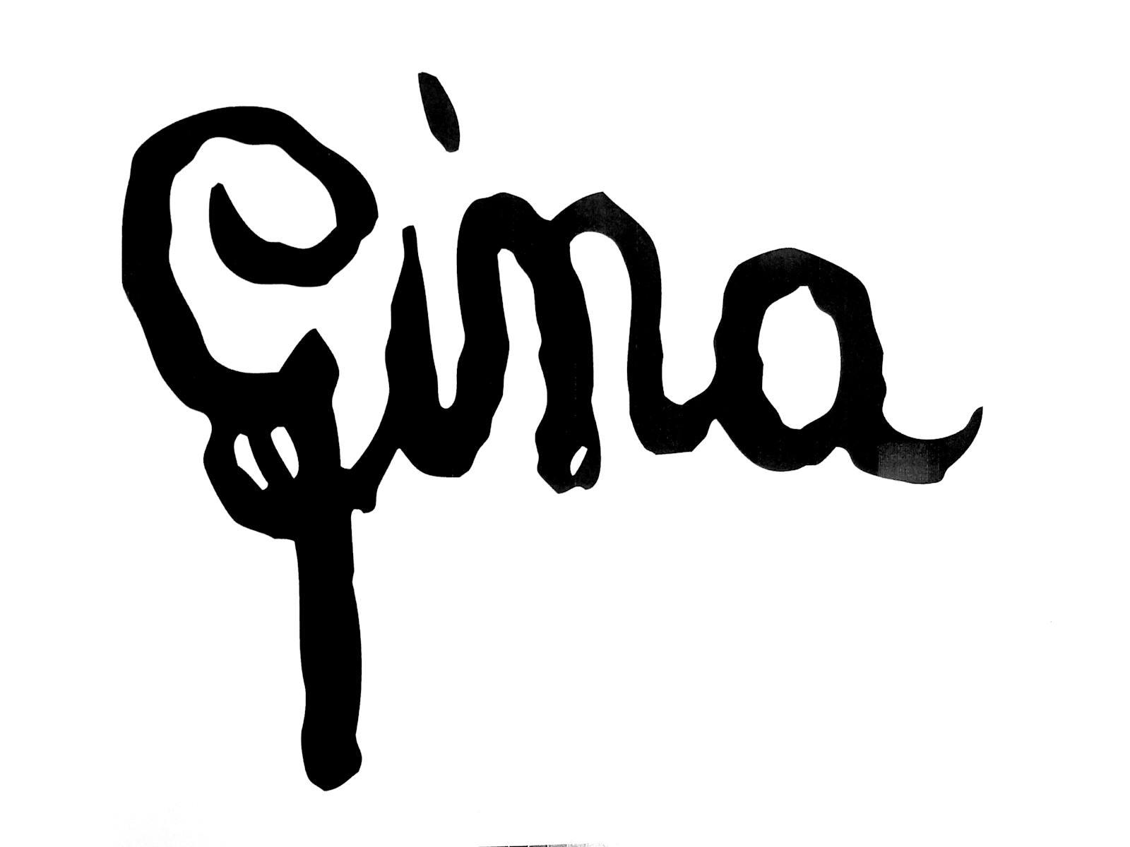 Image for GINA