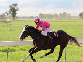 Narrabri Picnic Races Cover Image