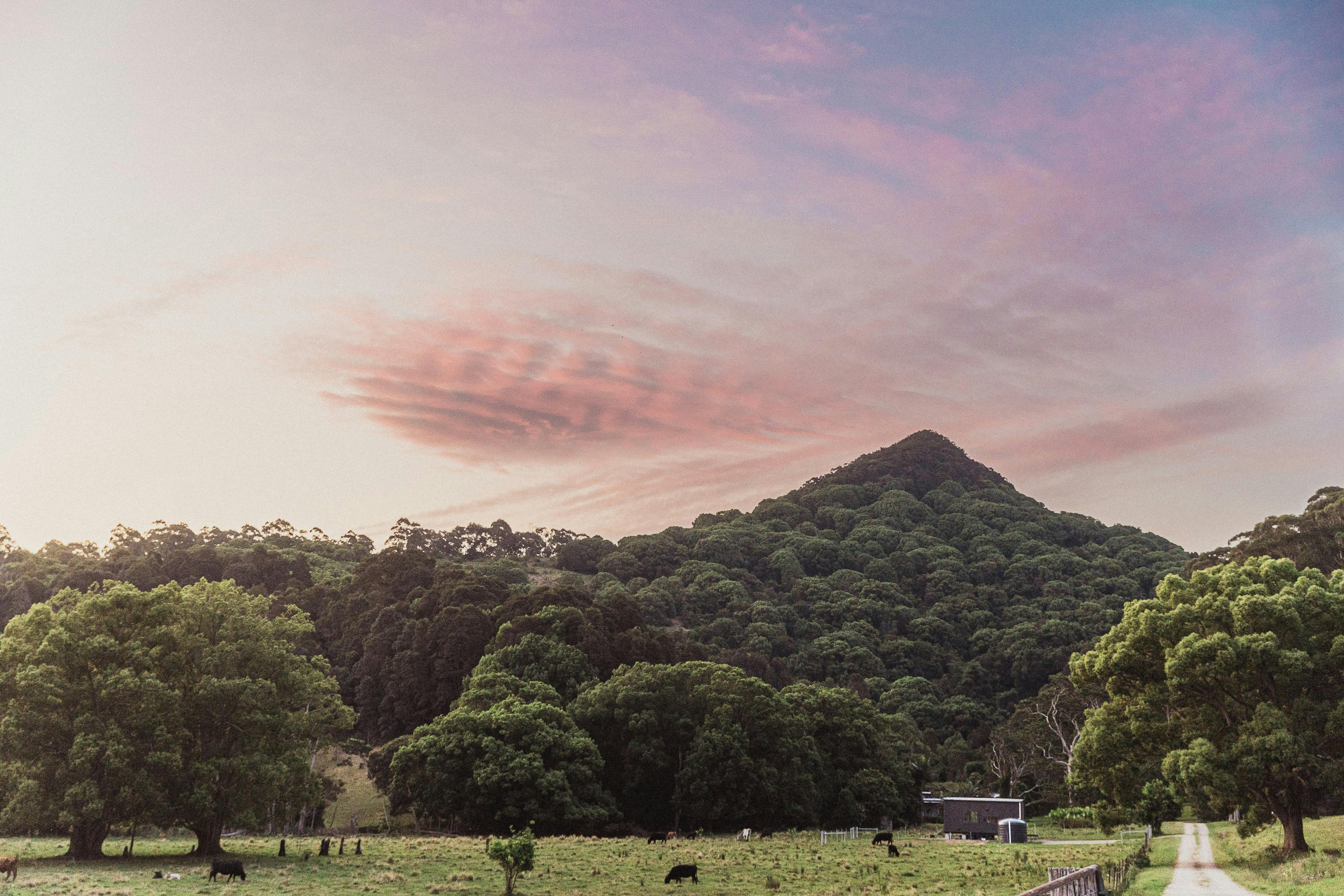 바이런 베이 외곽 칭코건 산 기슭의 작은 집 일몰 무렵