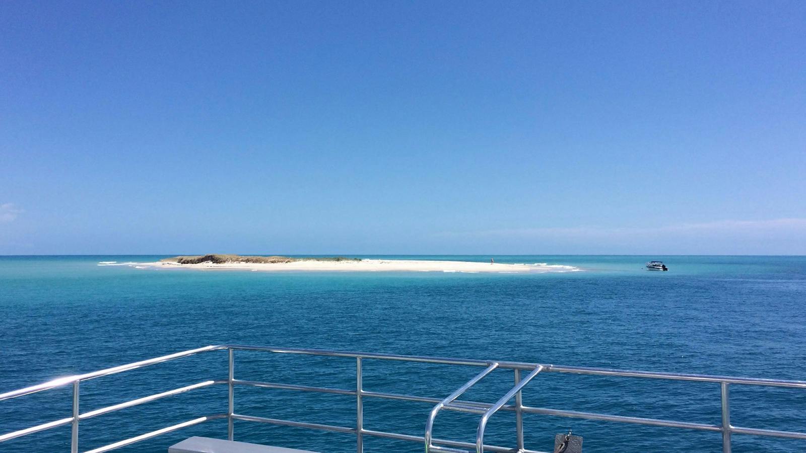 amaroo off pelican banks