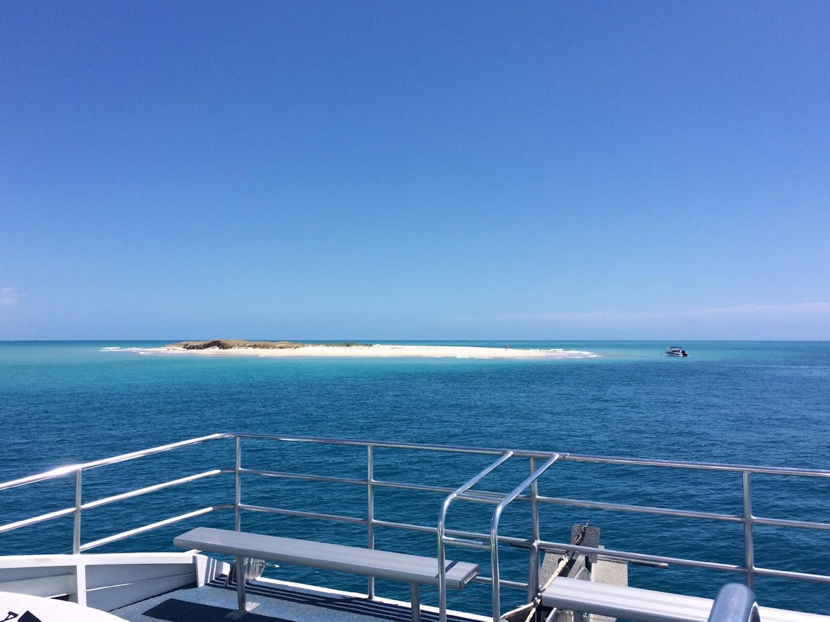 adventure boat club boat club adventure cruises tour queensland adventure boat club boat club adventure cruises tour queensland