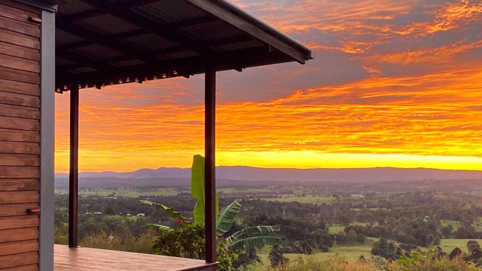 The Avocado Tree Farm – Claudine