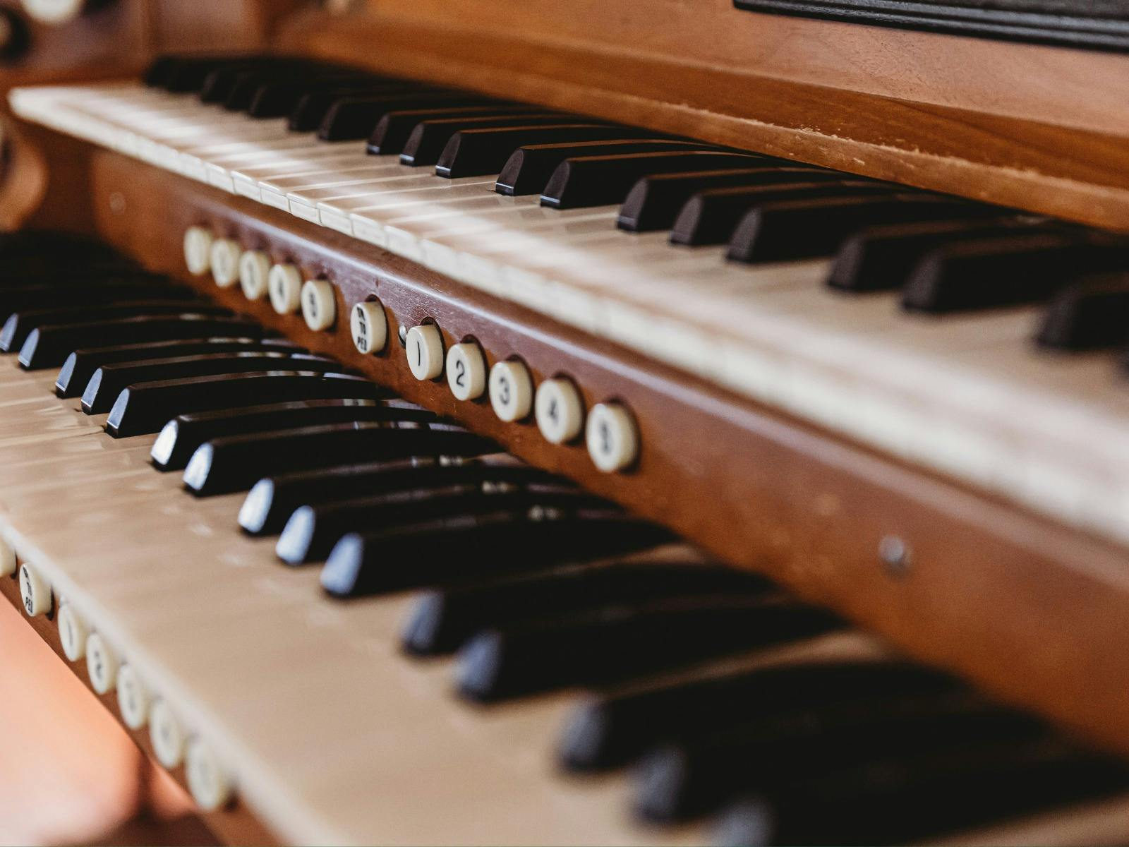Music Estuary
