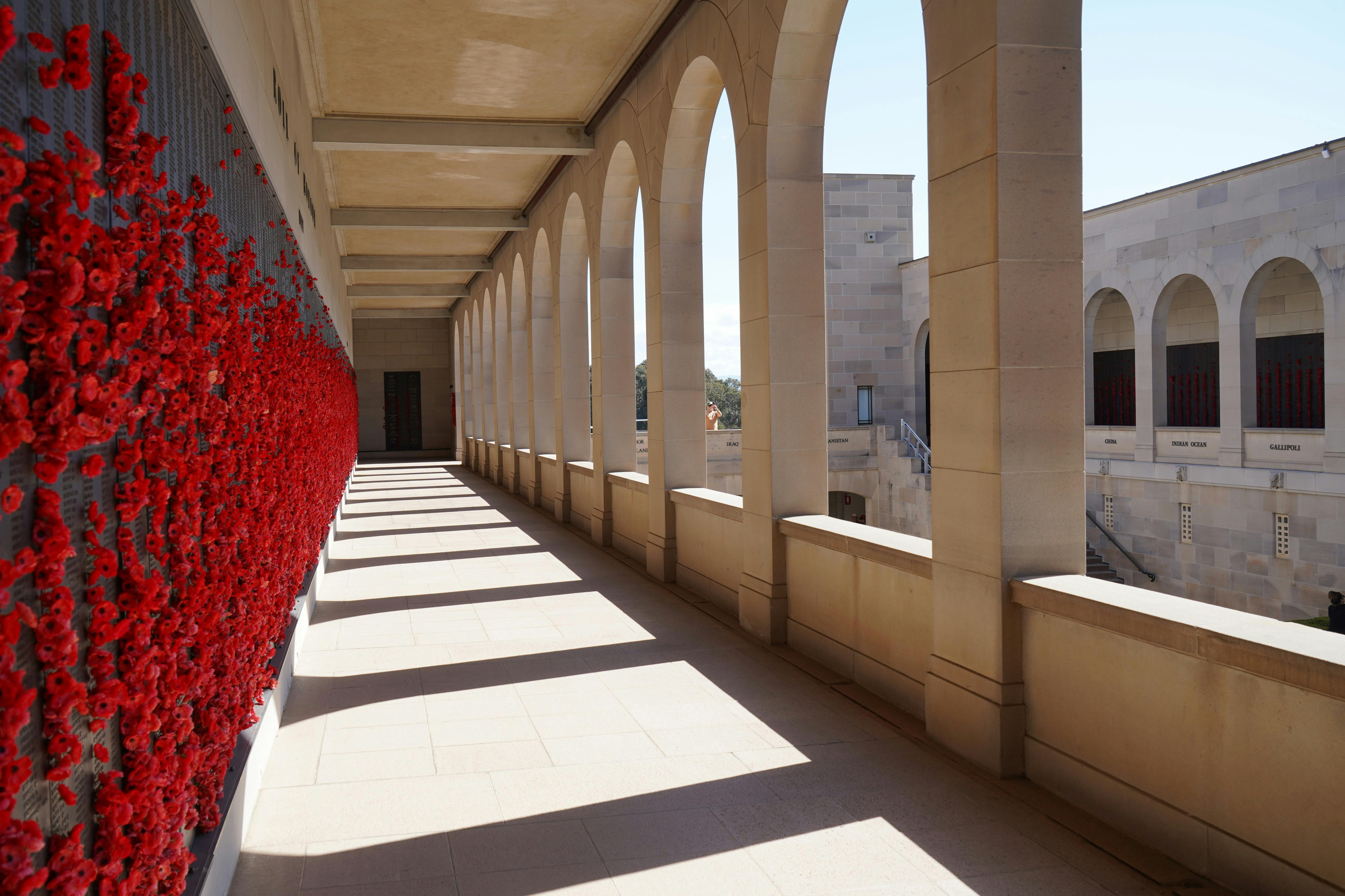 Canberra sightseeing tour AWM Australian War Memorial Canberra sights