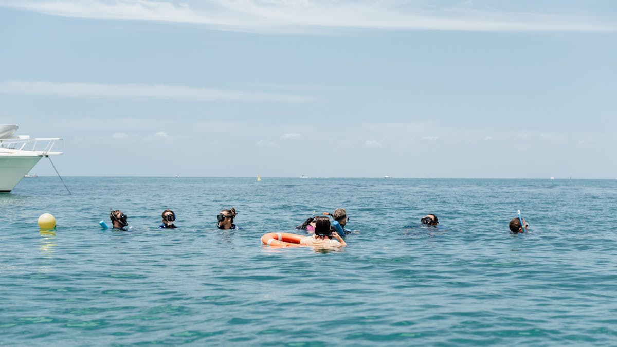 Small snorkel tours on Moreton Island