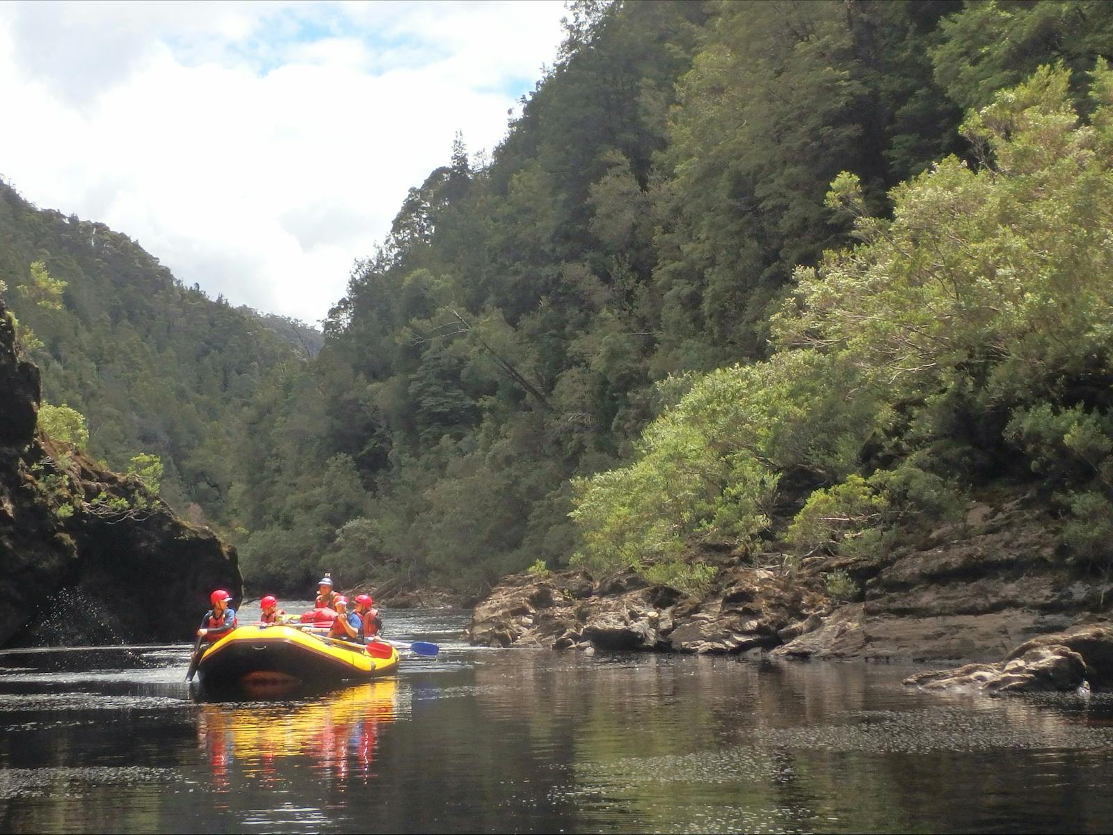 Immersed in wilderness on the Franklin river