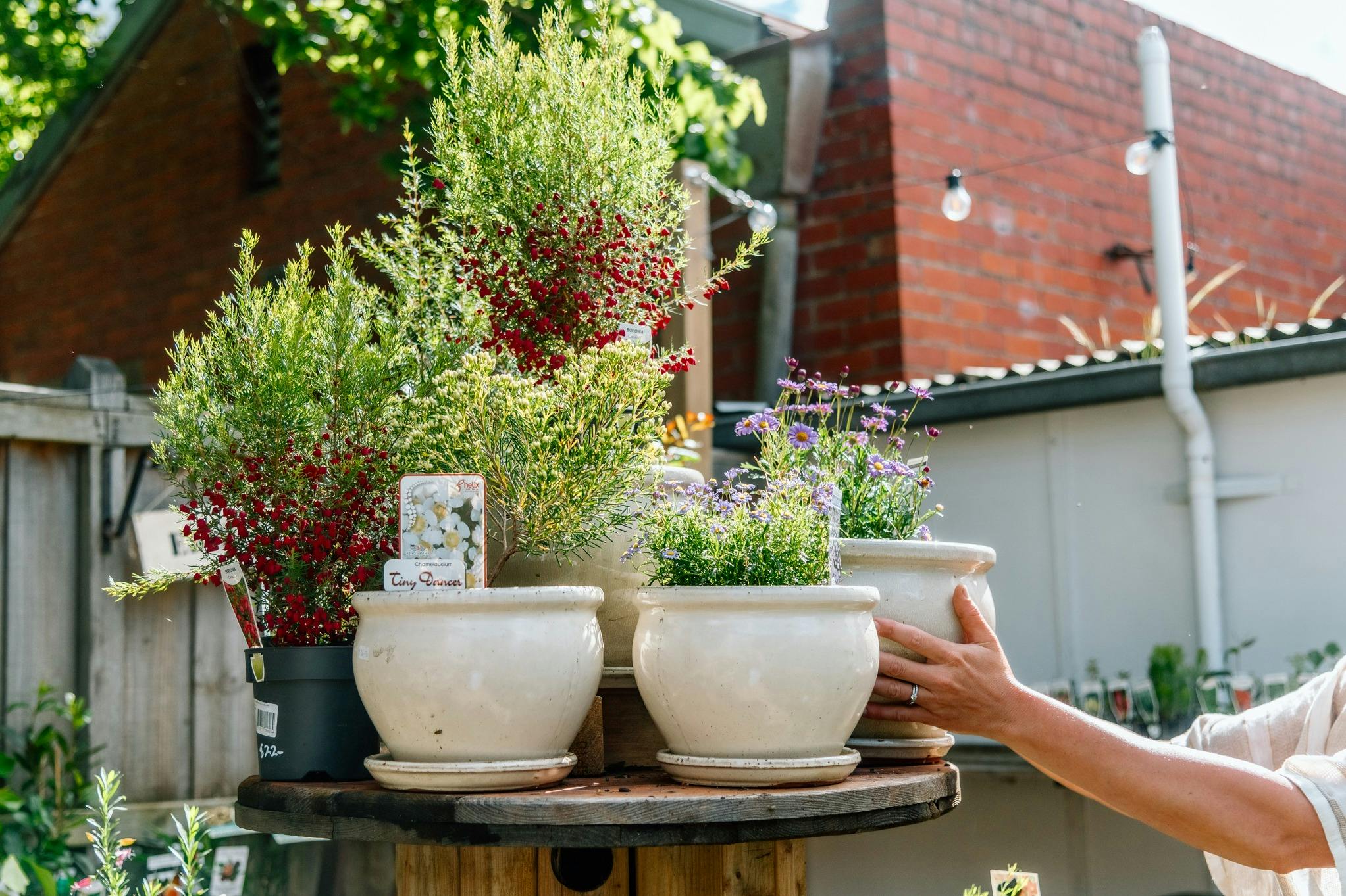 Local ceramic pottery in the plant nursery