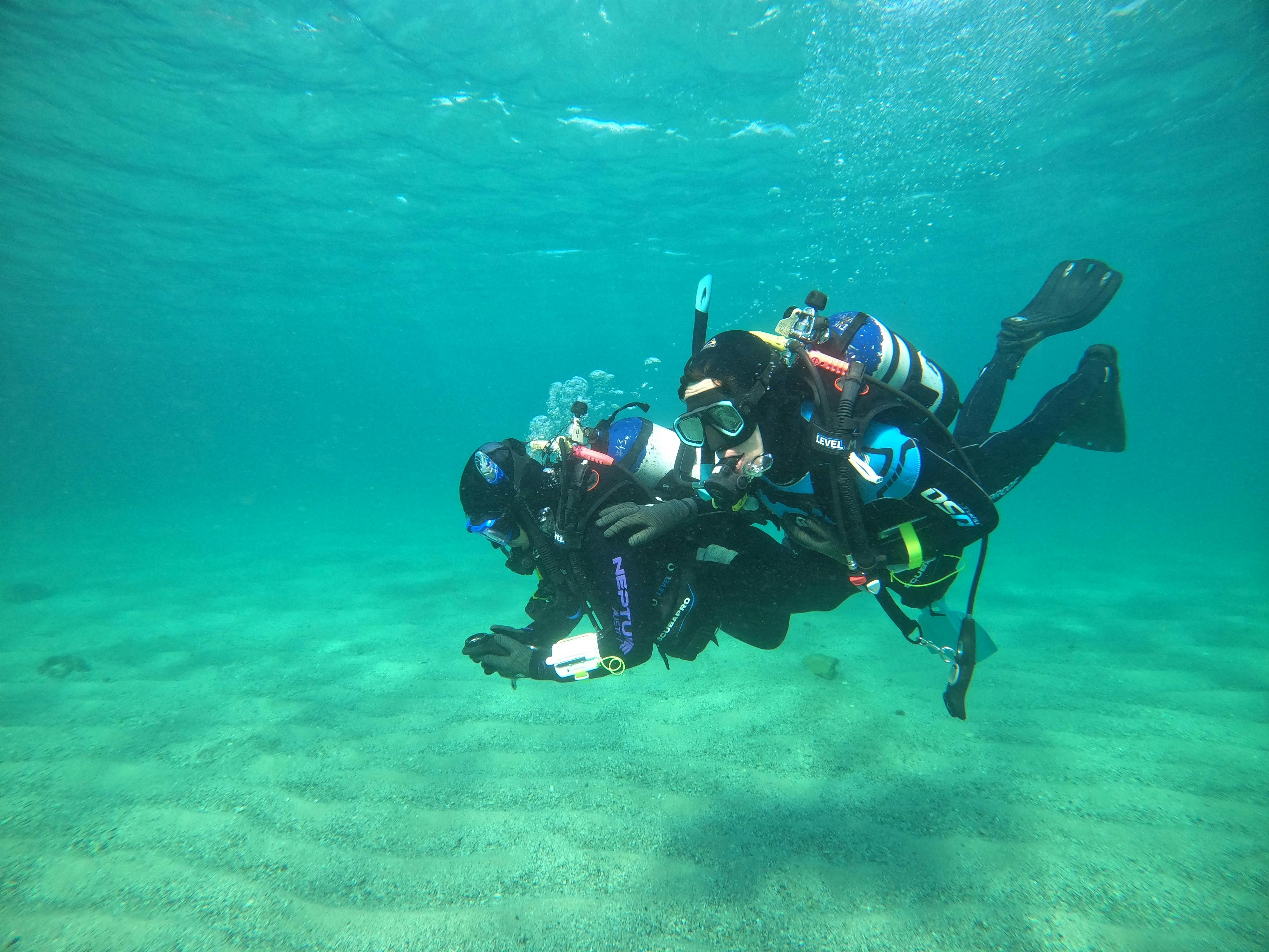 다이브 센터 맨리 어드밴스드 오픈 워터 코스