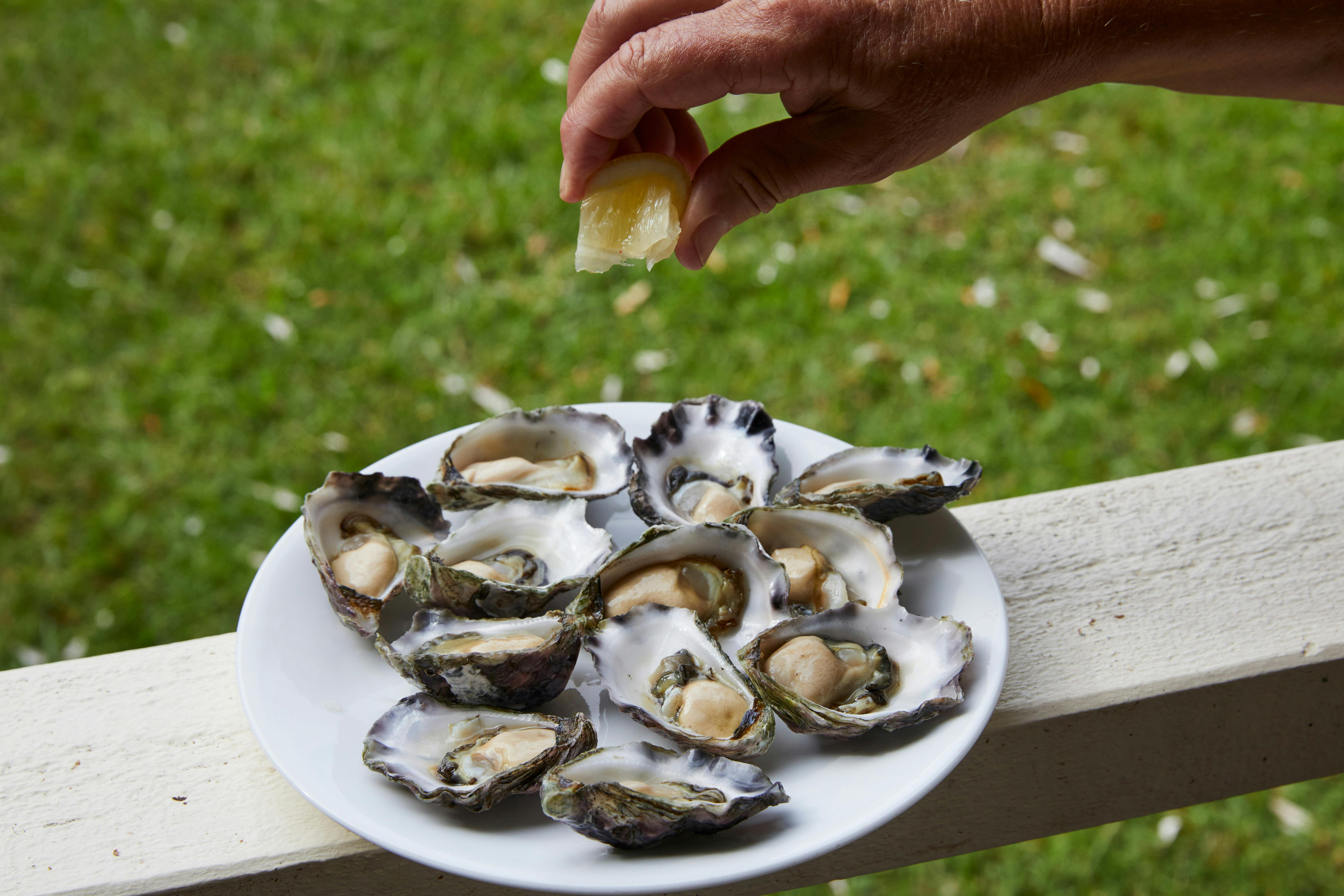 a hand squeezes lemon onto a plate of local oysters