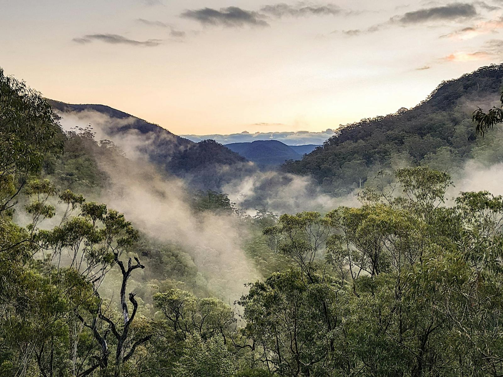 Devils Wilderness lookout from our distillery