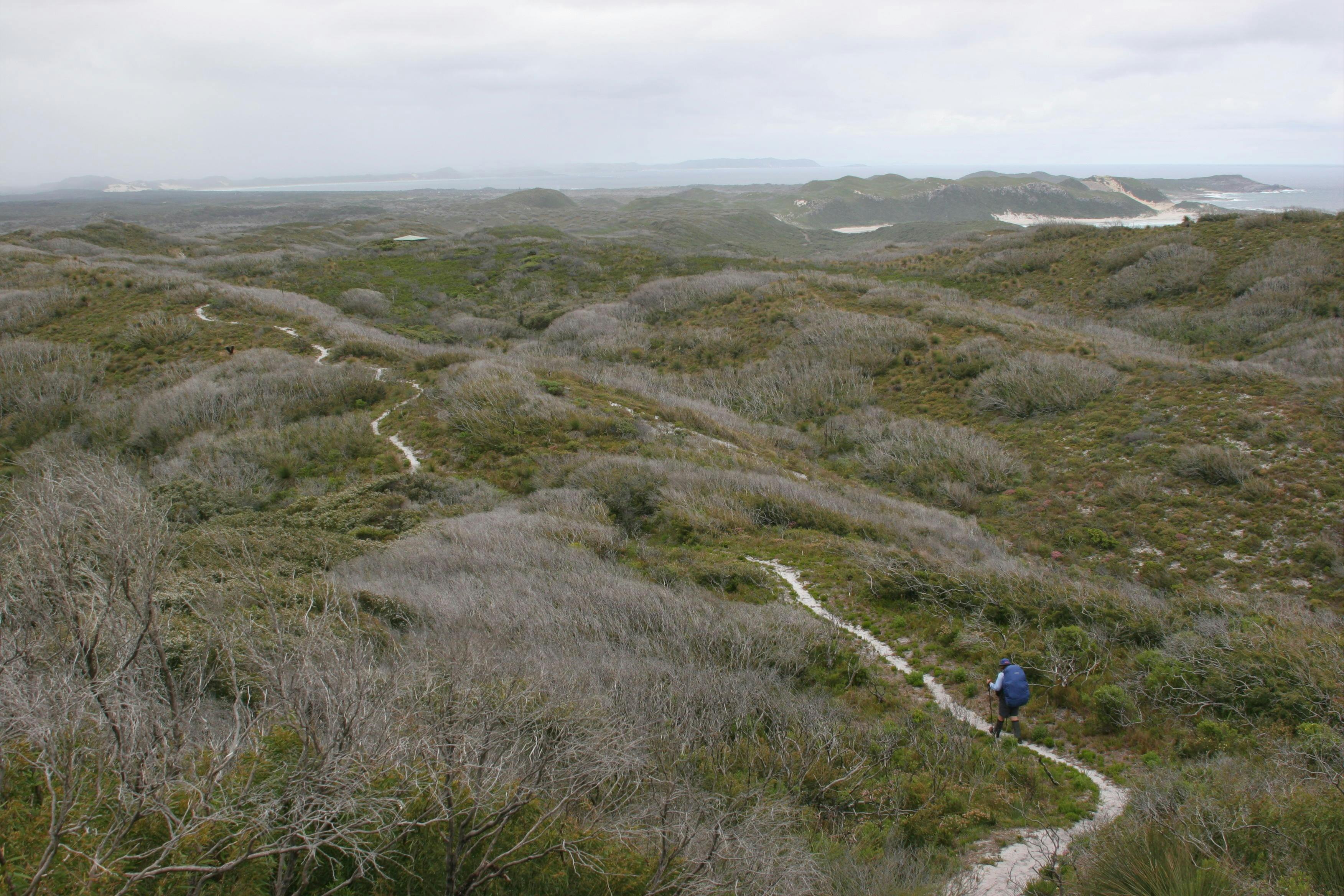 Bibbulmun Track, Kalamunda, Western Australia