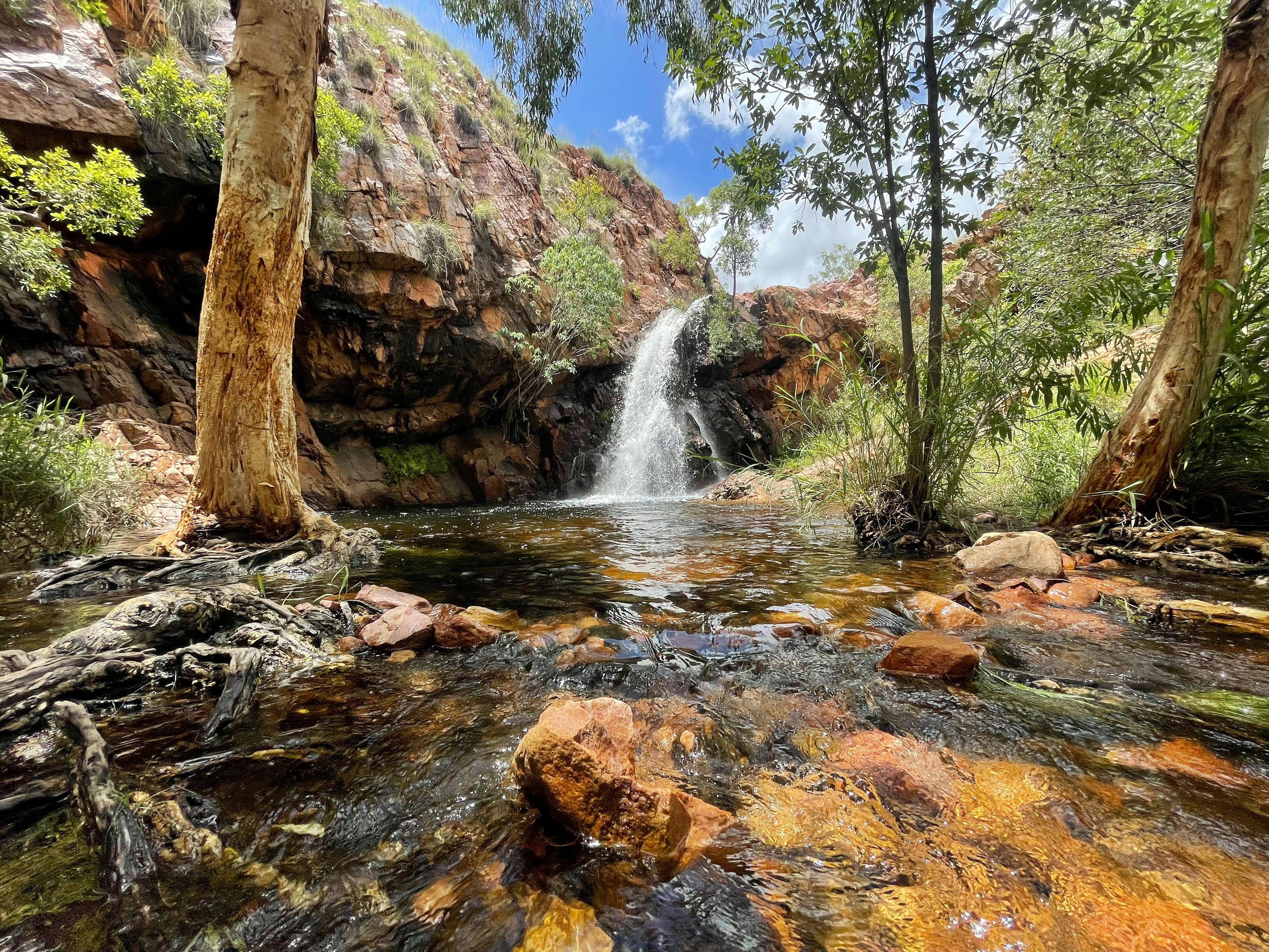 Molly Springs