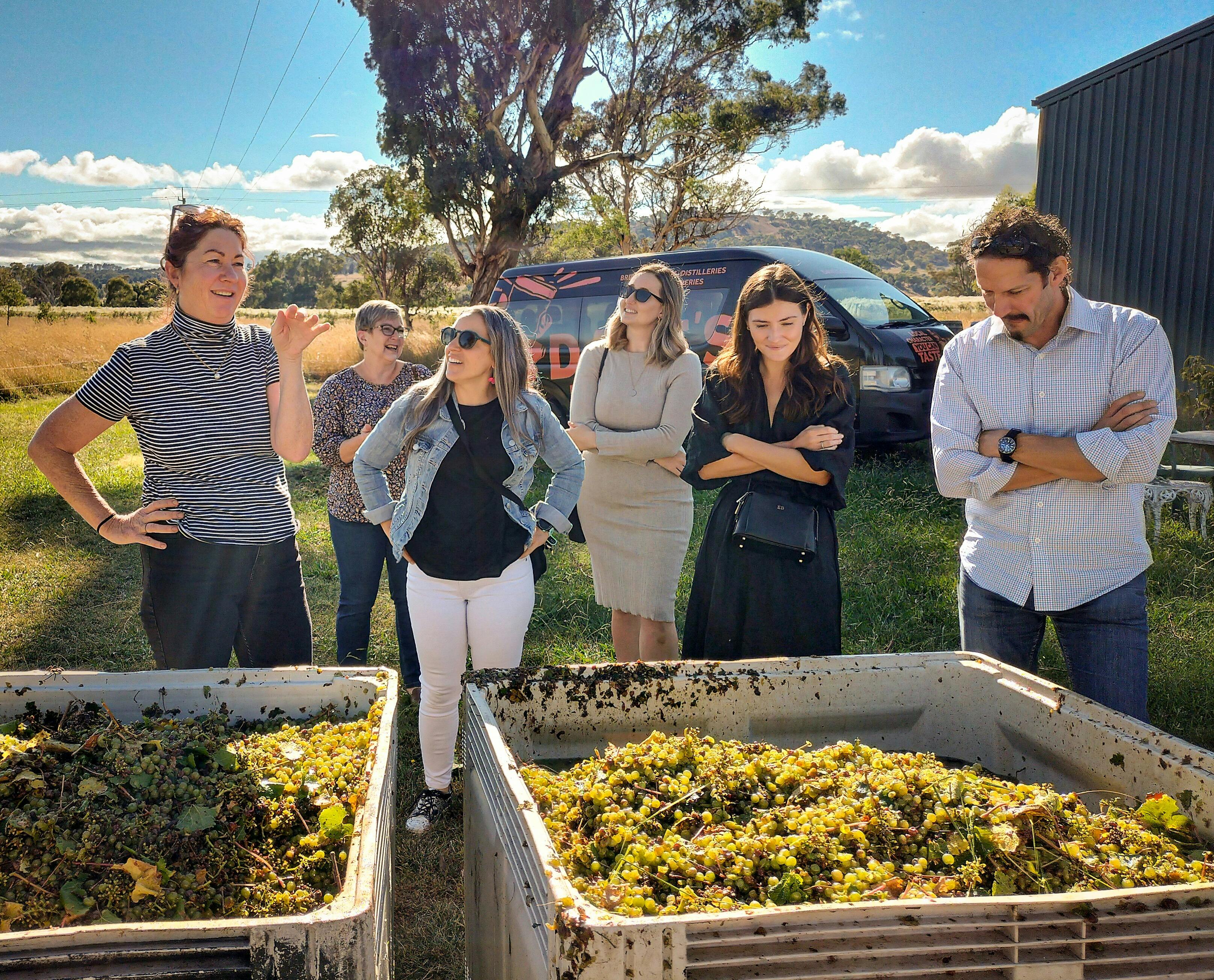 収穫したてのブドウを持つワインメーカーとツアーグループ