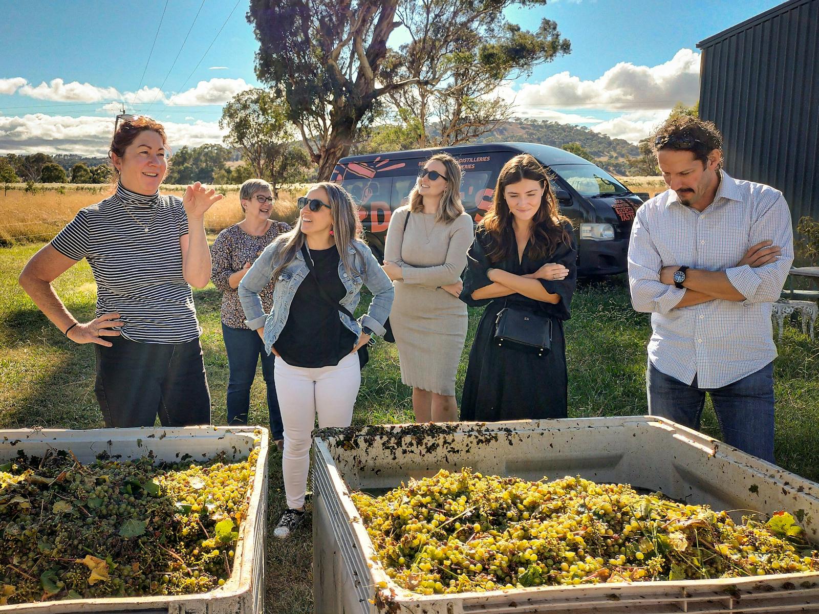 Winemaker and tour group with freshly harvested grapes