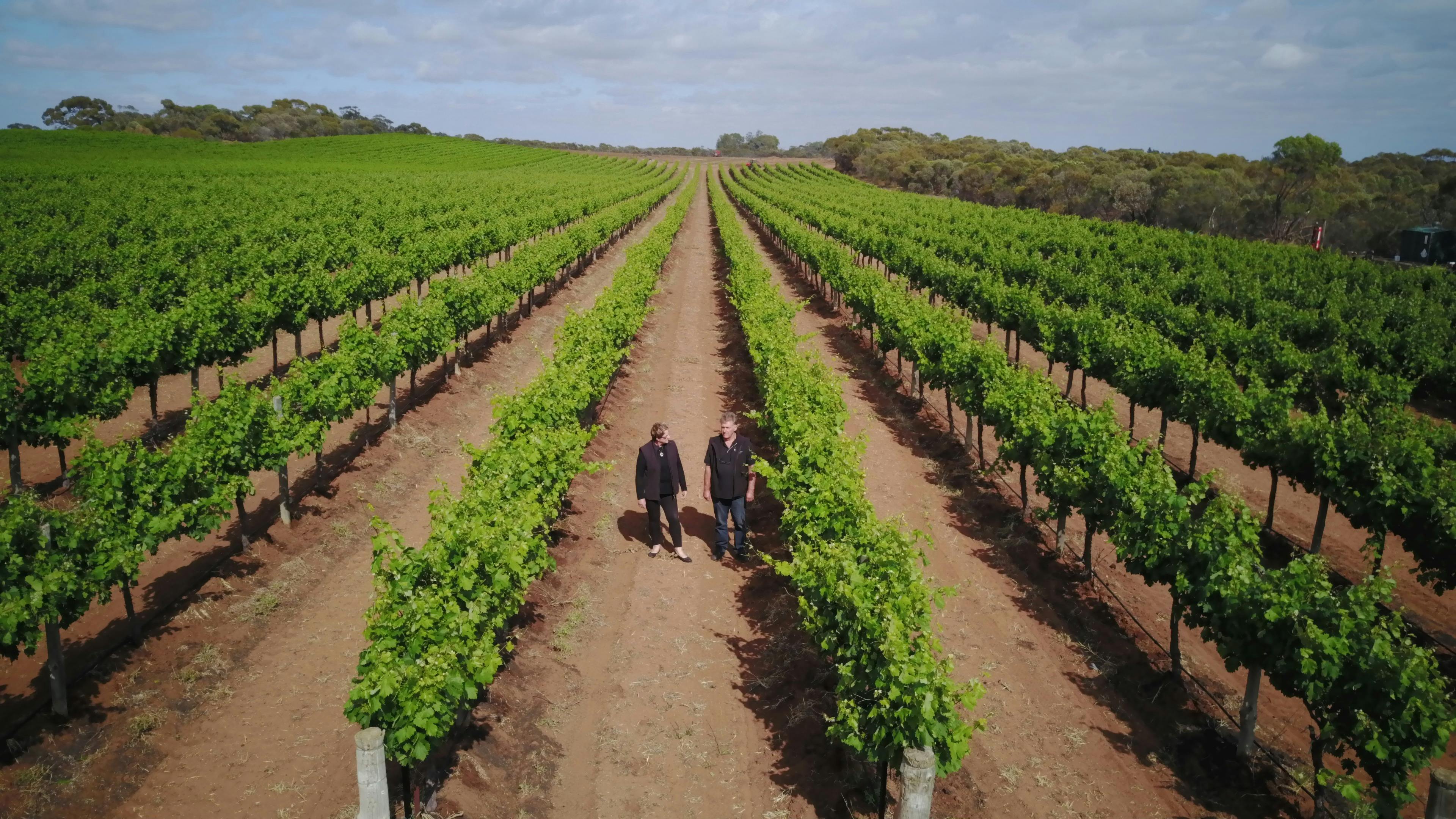 Bassham Wines