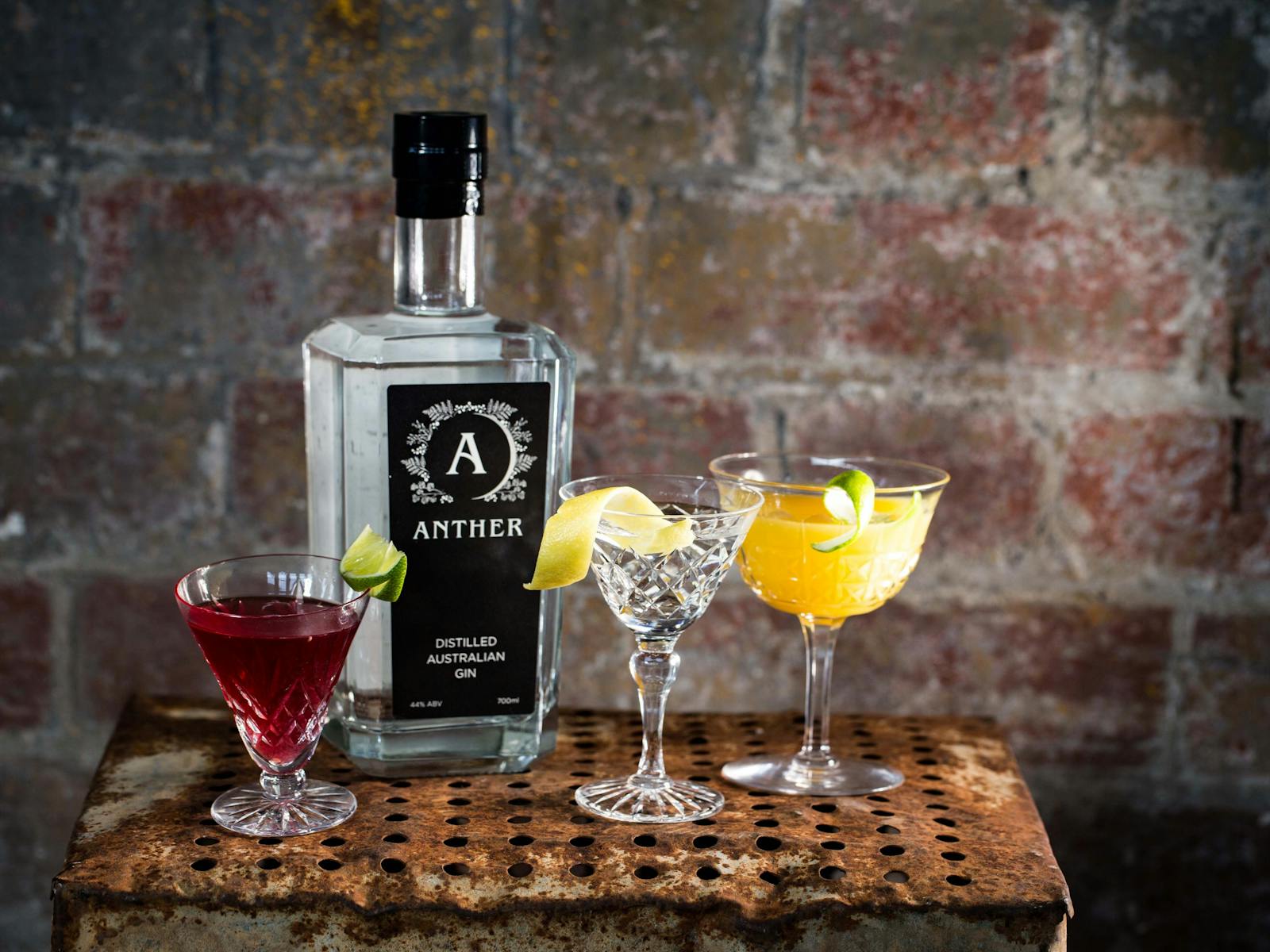 Anther Gin Martini's - enjoy seasonal cocktails at the Anther Distillery!