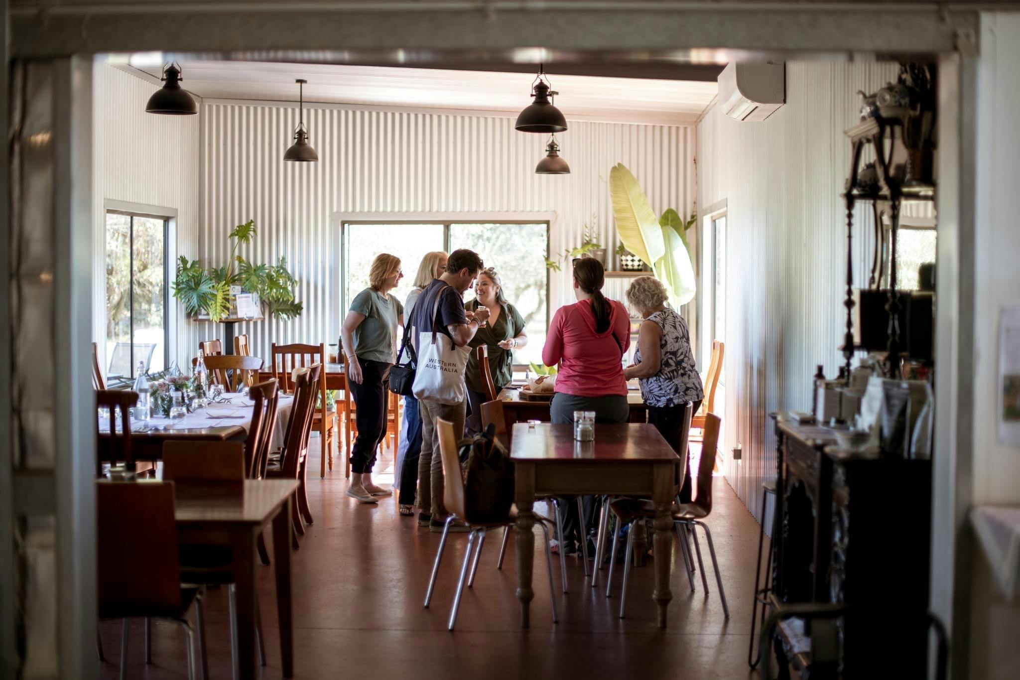 Olive Oil Tasting