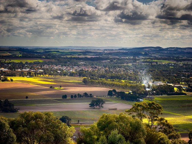 Fruits of the Vine - Private Barossa Valley Tour