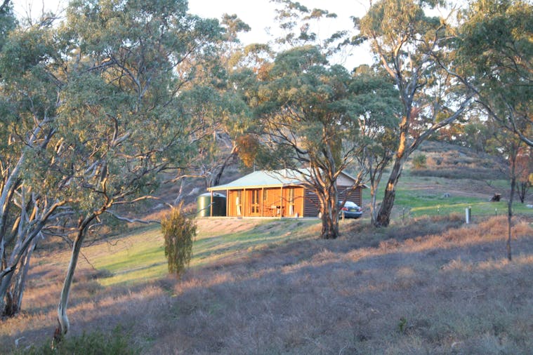 Mollys Chase