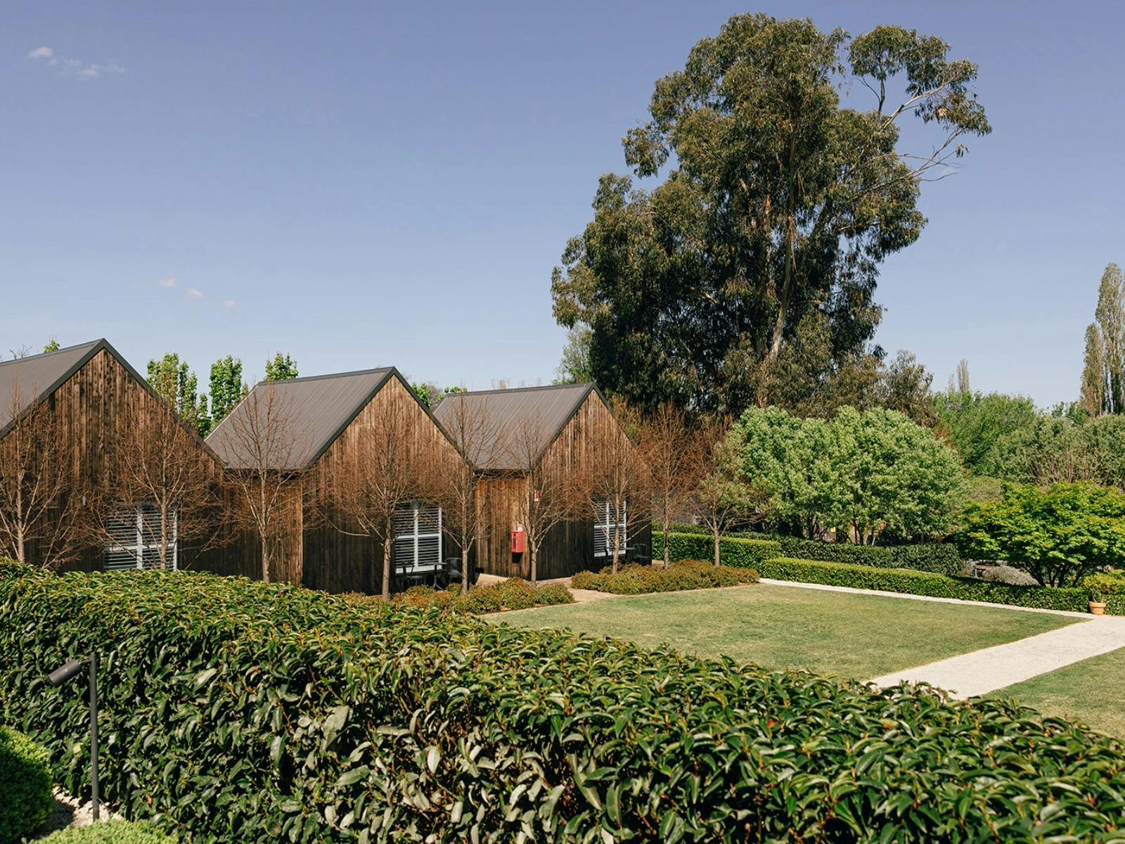 Die schwarzen Scheunen