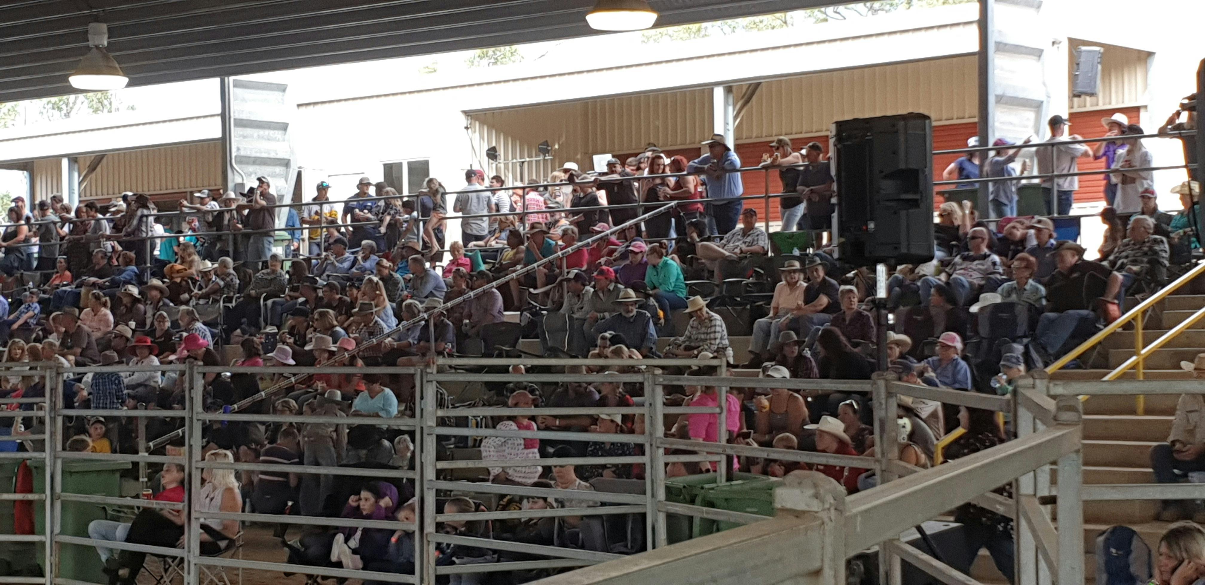 Nebo Rodeo Crowd