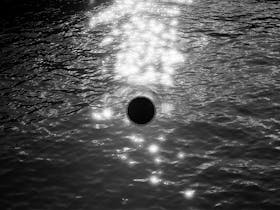 The Daylight Moon | Francis Cai