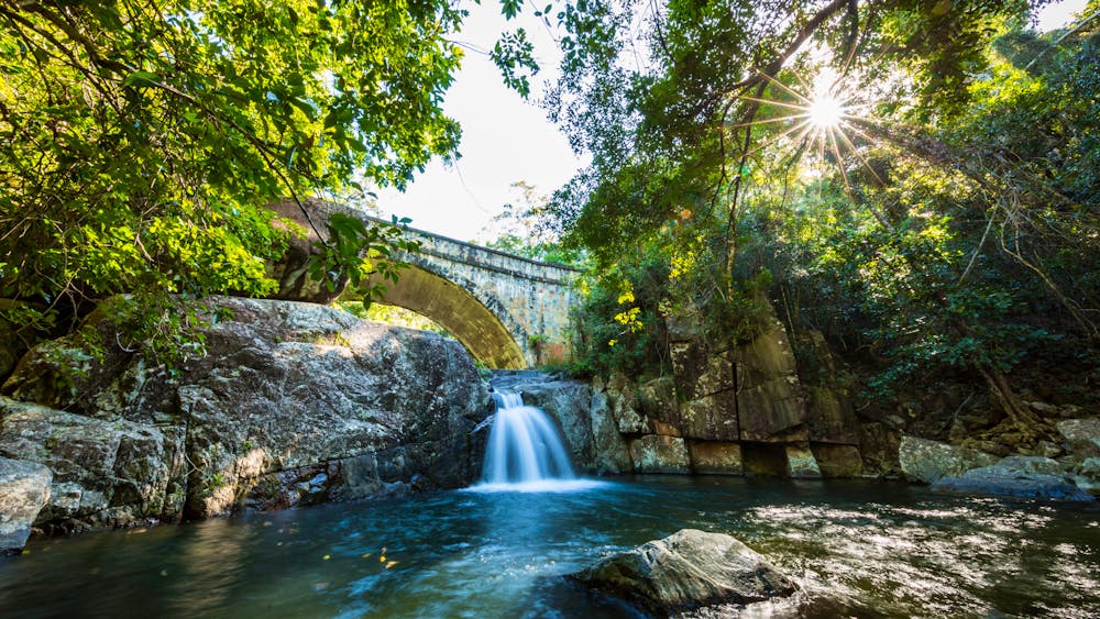 Paluma and Crystal Creek Rainforest