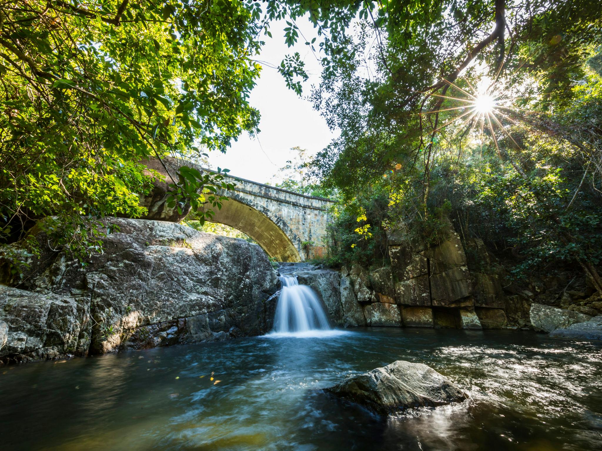 Paluma and Crystal Creek Rainforest