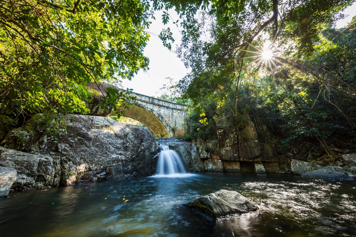 Paluma and Crystal Creek Rainforest