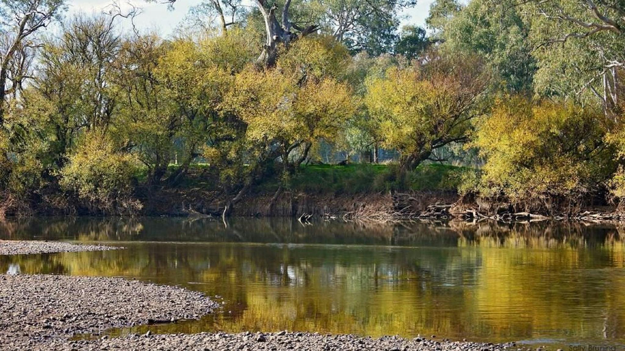 Mungabareena and Water Works