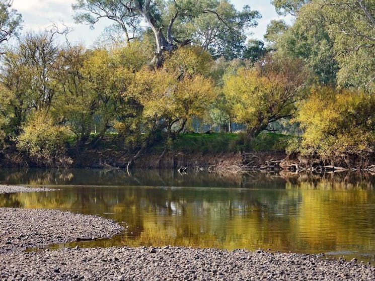 Mungabareena and Water Works