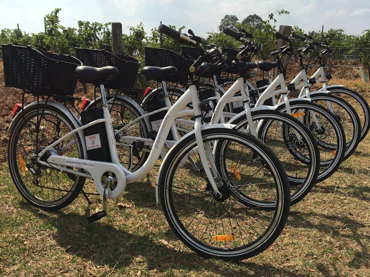 Grapemobile eBikes! Ride the Wine Trail with ease! Situated in the Central Pokolbin Region