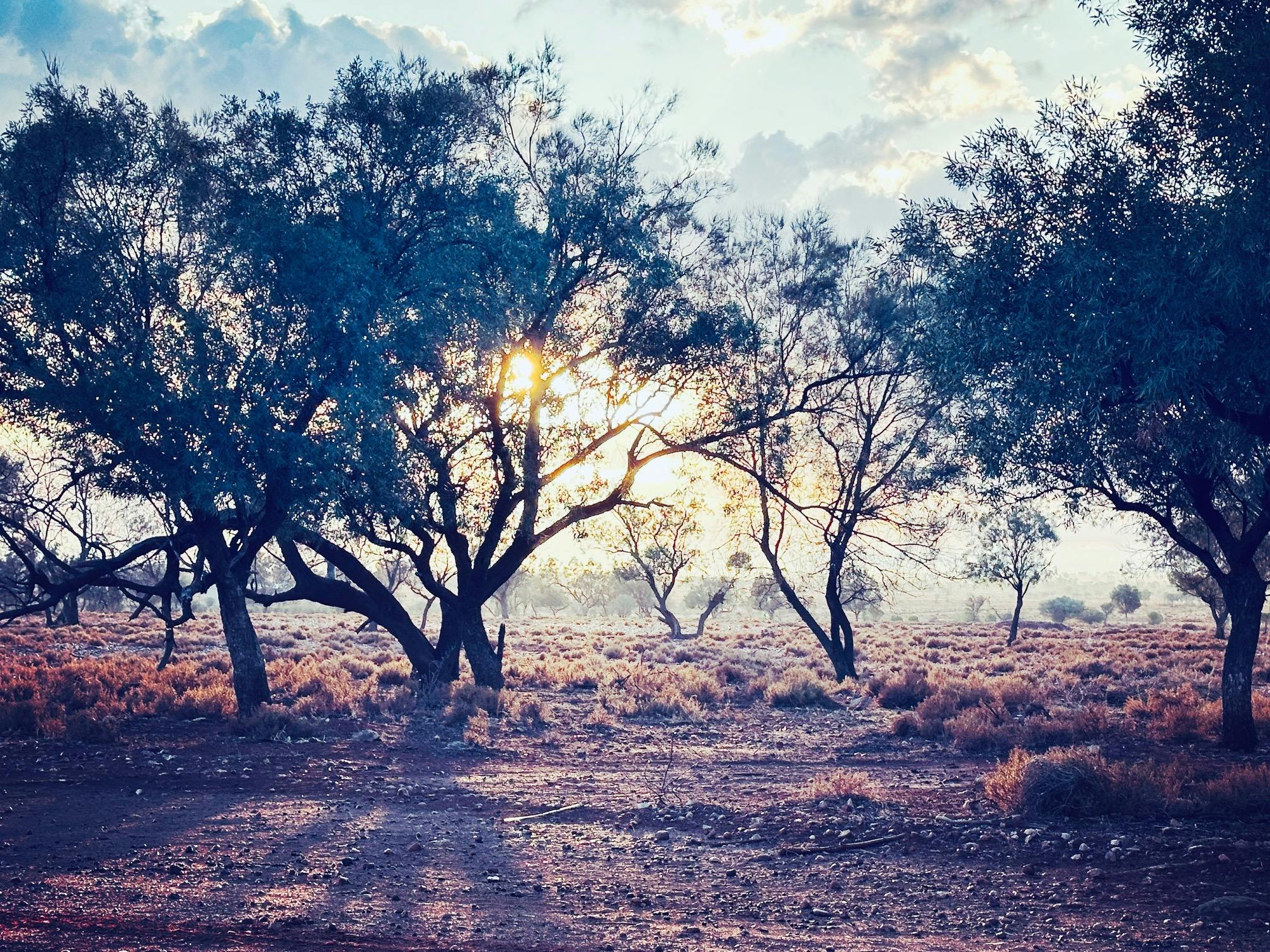 Misty sunrise