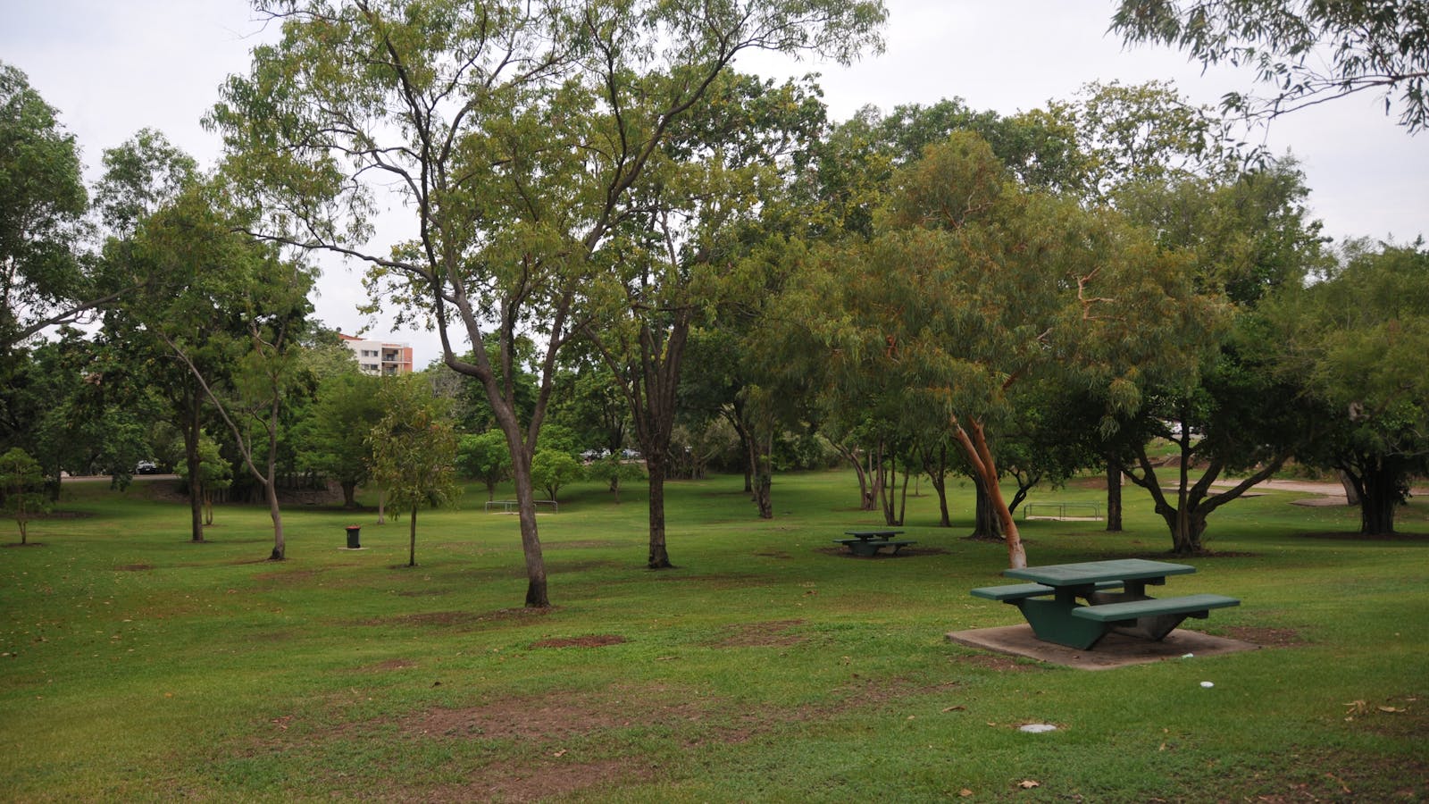 Frog Hollow