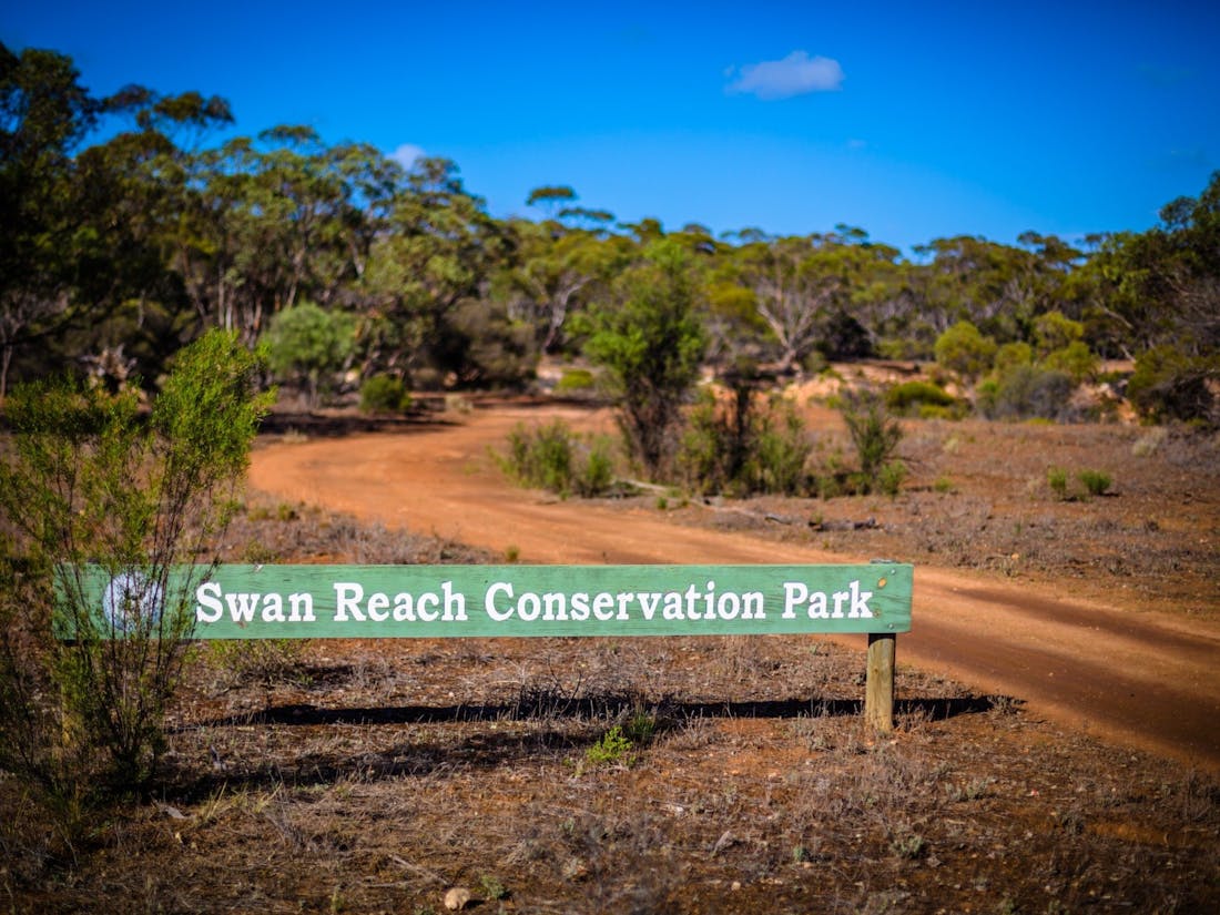 Swan Reach Conservation Park Campgrounds - Swan Reach, Accommodat...