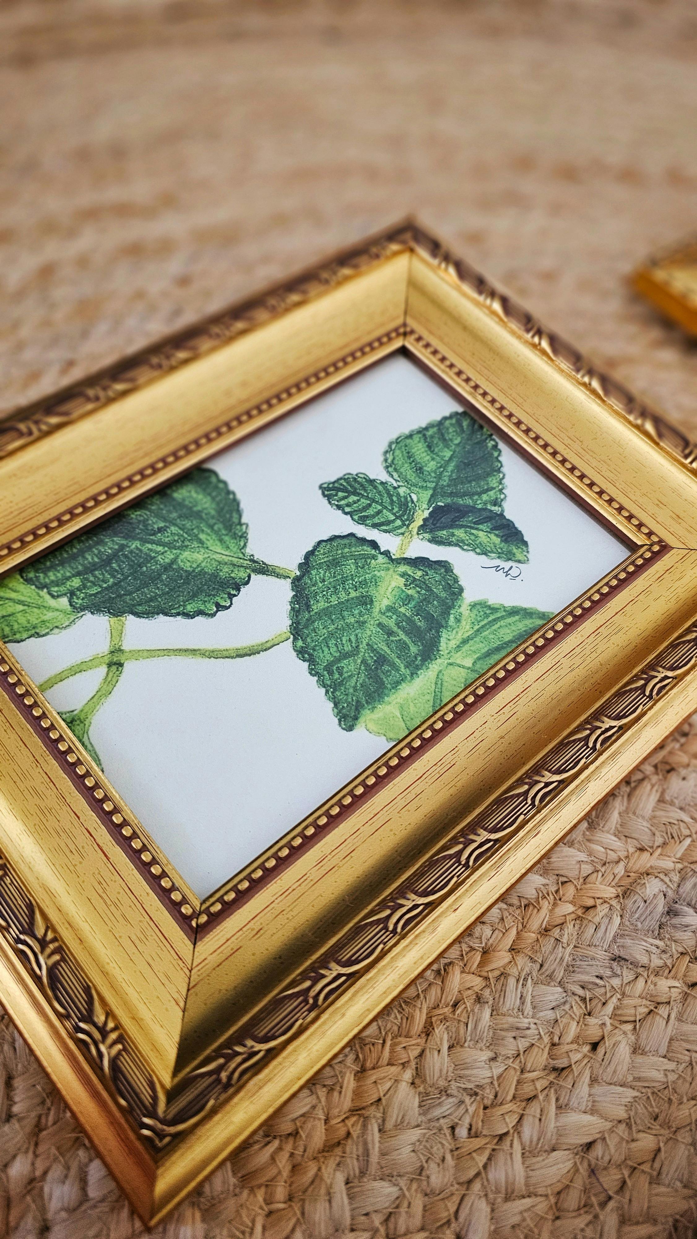 Gold frame with watercolour plant with textures leaves
