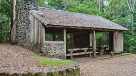 Never Never picnic area, Dorrigo National Park. Photo: Rob Cleary