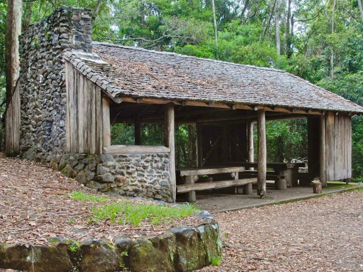 Never Never picnic area, Dorrigo National Park. Photo: Rob Cleary