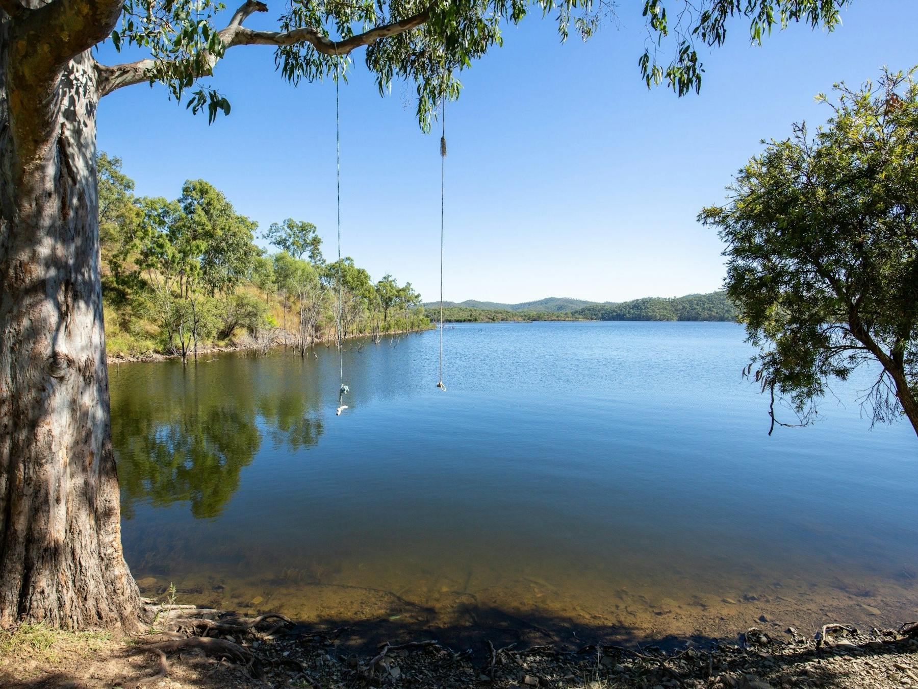 Rope swing over Lake Cania