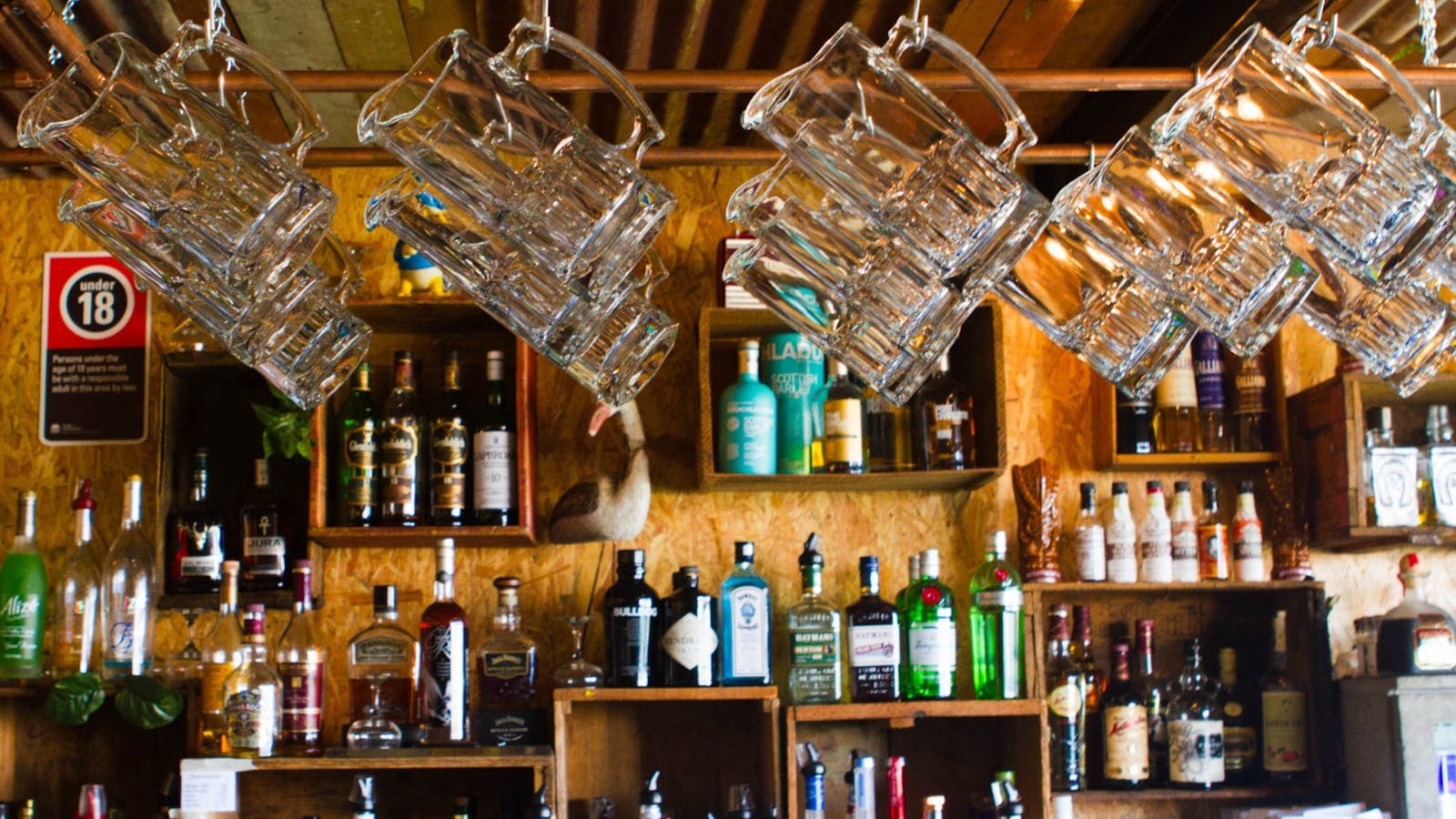 Websters Bar
